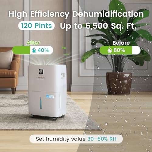 Home Dehumidifier