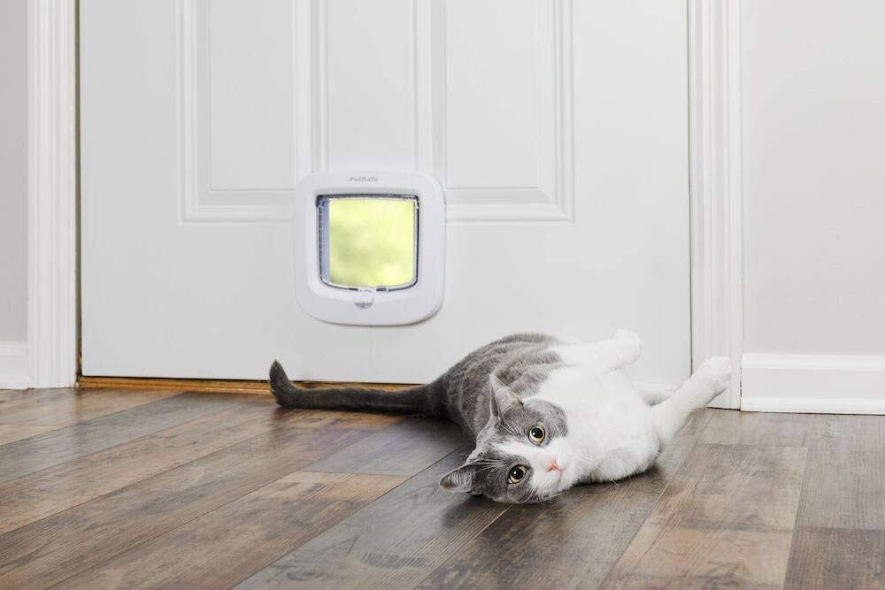 PetSafe Manual 4 Way Locking Cat Flap White