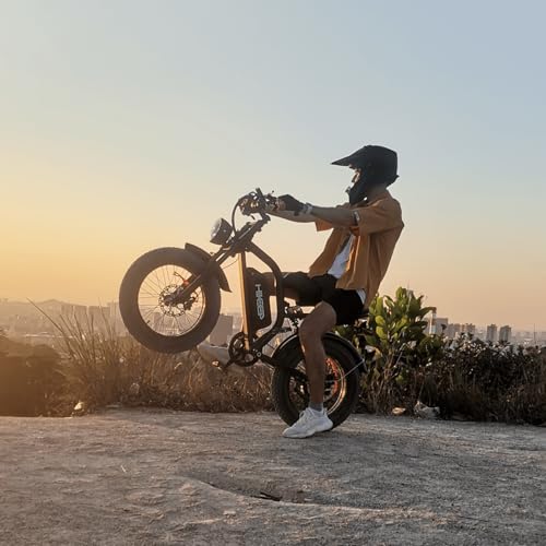 Electric Bike for Adults - K6 20 x 4 Inch Fat Tire, 750W/Peak 1500W Motor, 48V15AH Detachable Battery, 4 Riding Modes Electric Dirt Bike, 7 Speed Electric Motorcycle,20MPH UL 2849 Certified