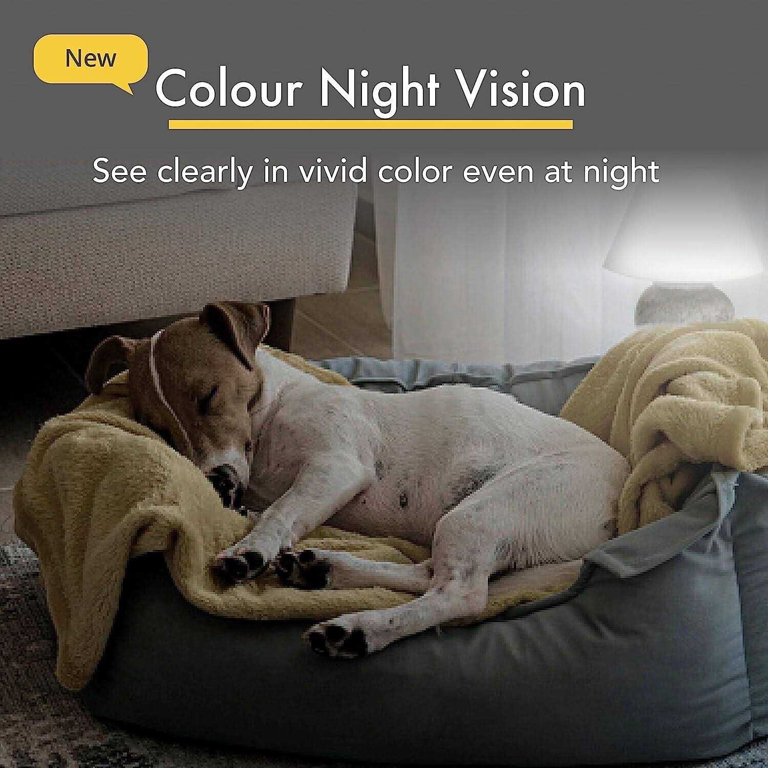 Furbo 360° Dog Camera w/Subscription Smart Camera Designed for Dogs - Pet Supplies online store