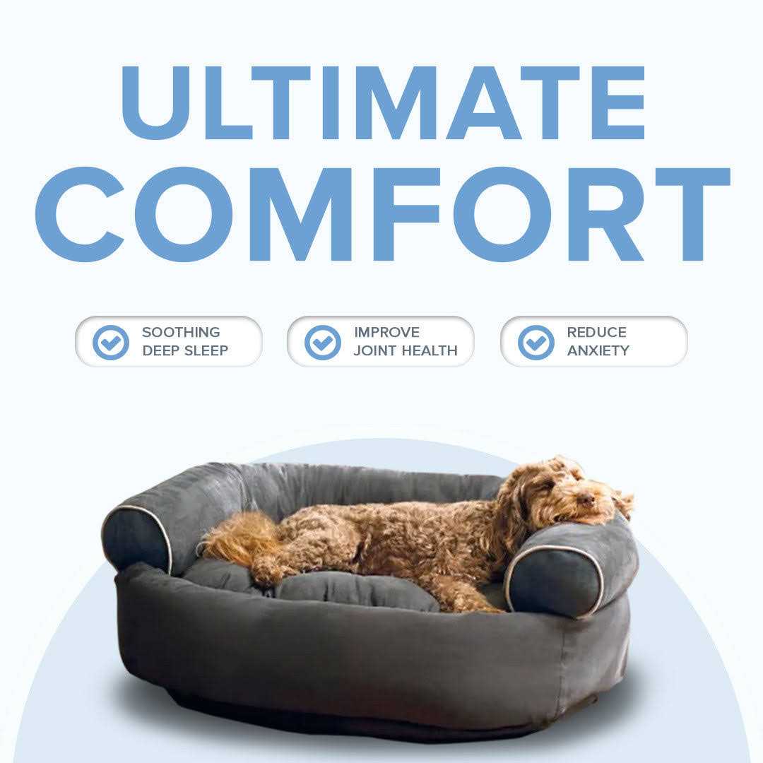 PupsDream Calming Dog Sofa Size Orthopedic Anti-Anxiety Dog Couch - Pet Supplies online store