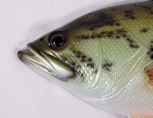 LX Handpainted Large Mouth Bass Wall Mount Decor Plaque Game Fish Replica 18x22