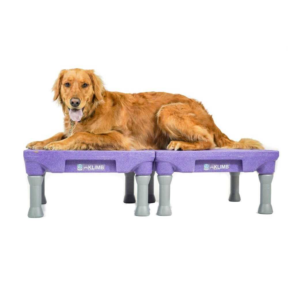 Blue-9 KLIMB Dog Training Platform &amp; Agility System - Pet Supplies online store