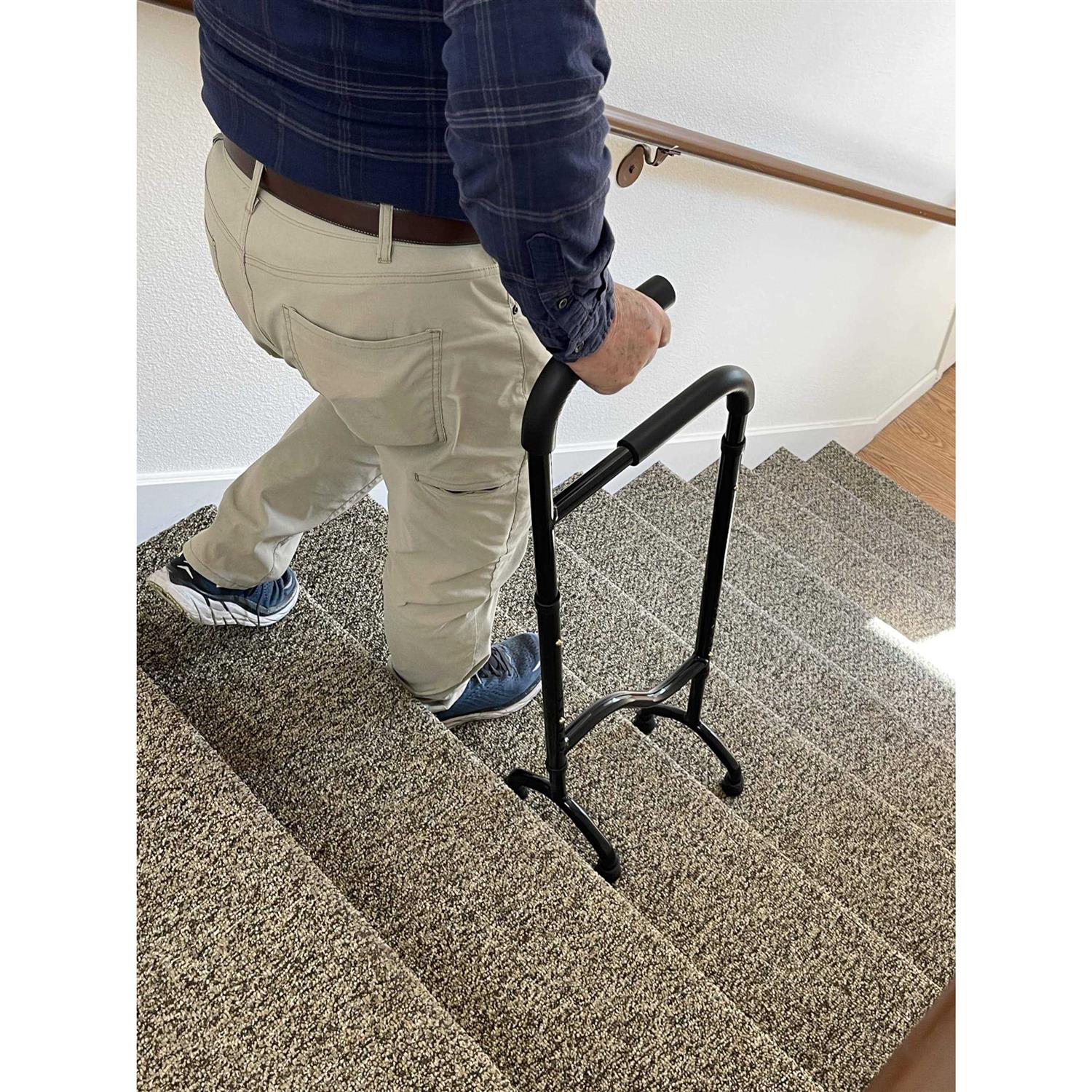 Rock Steady Cane Stair Assist Cane - Pet Supplies online store