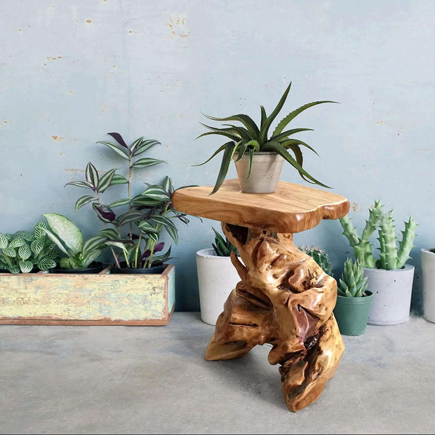 Natural Irregular Shape Tree Stump End Table Plant Stand, 14"x13"x18"H Solid Cedar Wood Outdoor Rustic Sit Foot Stools Live Edge Coffee Side Table for Living Room Bedroom Bath Outdoor Garden