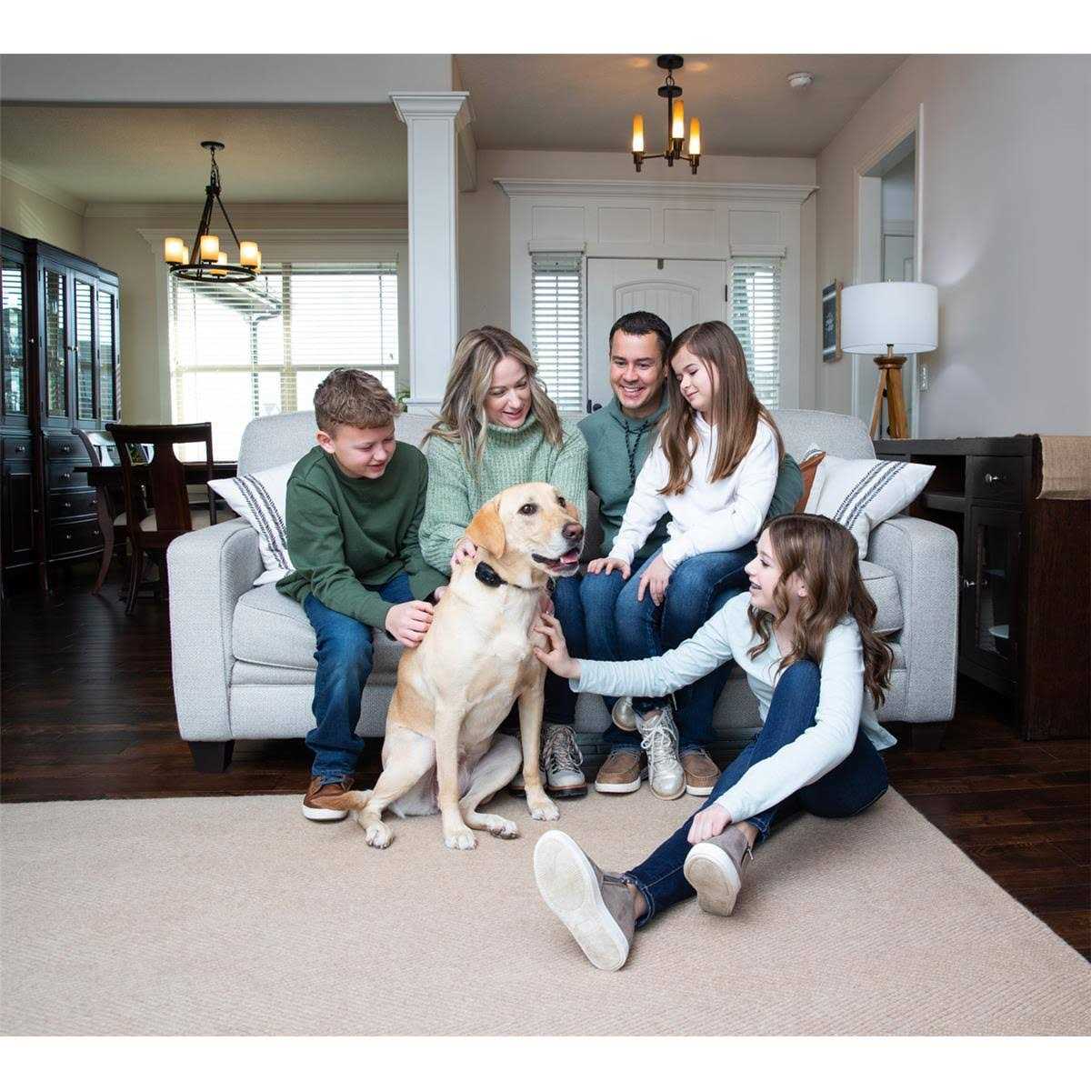 Garmin Delta SE - Pet Supplies online store
