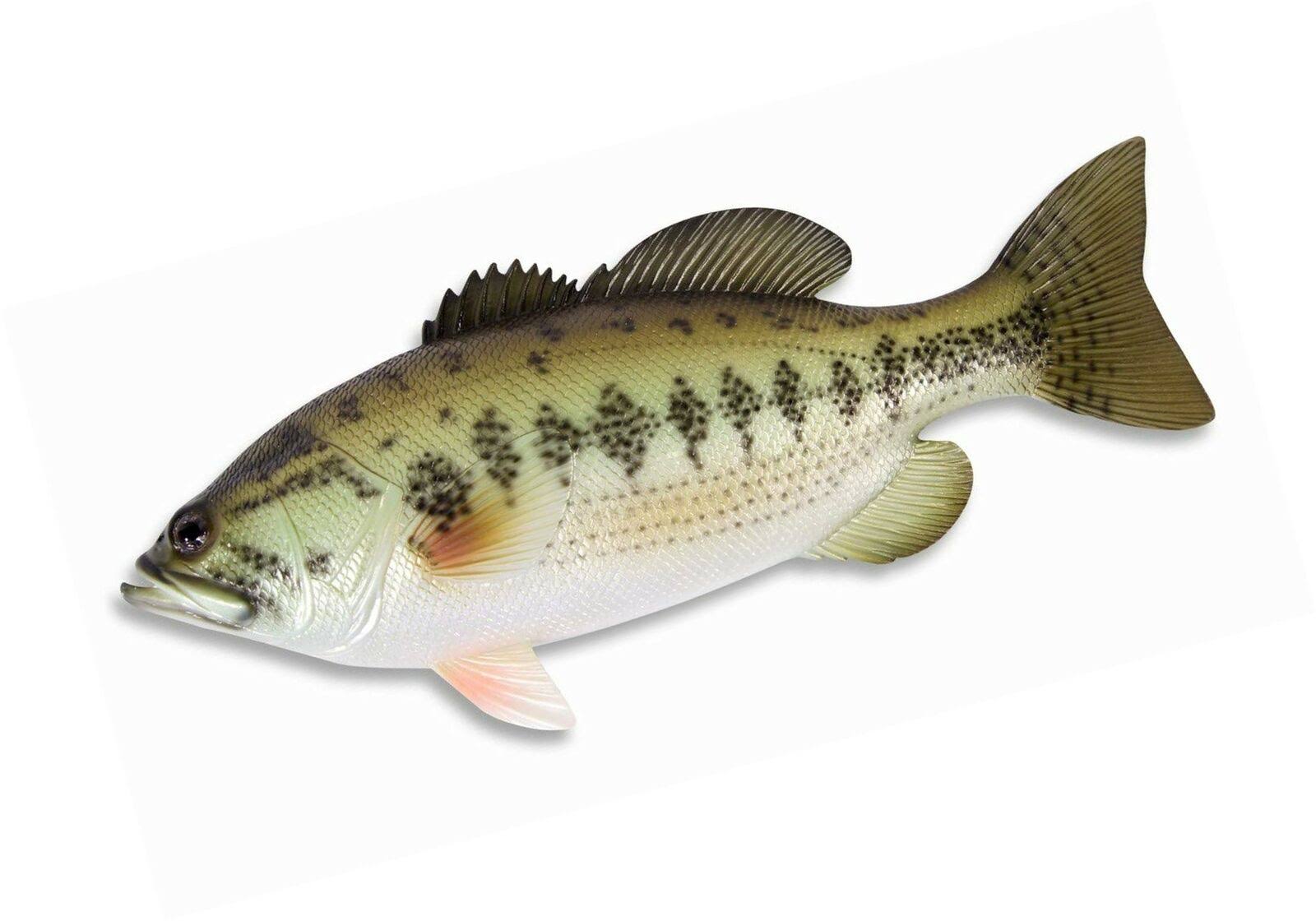LX Handpainted Large Mouth Bass Wall Mount Decor Plaque Game Fish Replica 18x22