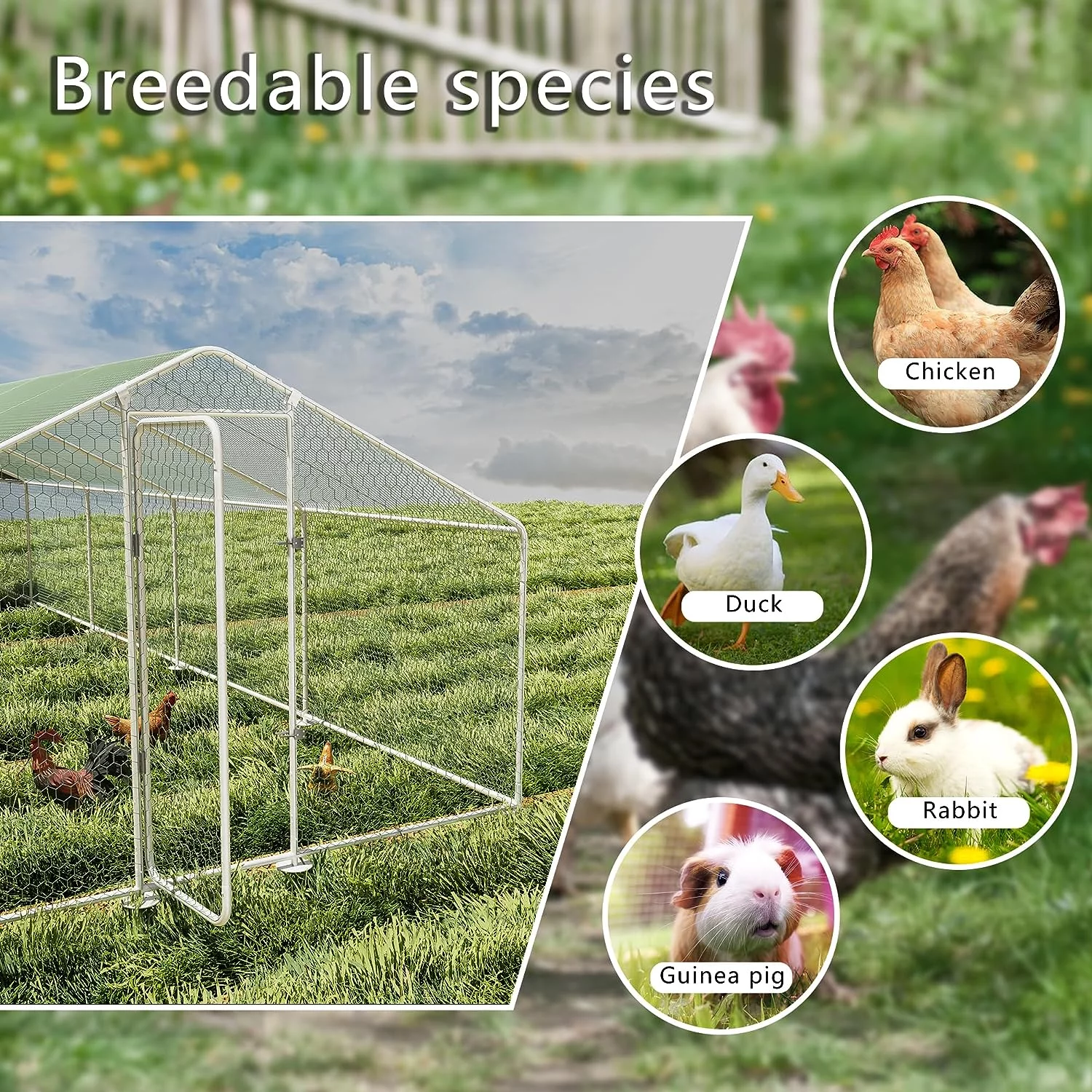 ALAULM Large Metal Chicken Coop Outdoor Cages Hen House Pet Hutch for Chicken，Hen，Duck，Goose, Rabbit, Poultry Cage Spire Shape Coop, Large - Curated Treasures Market
