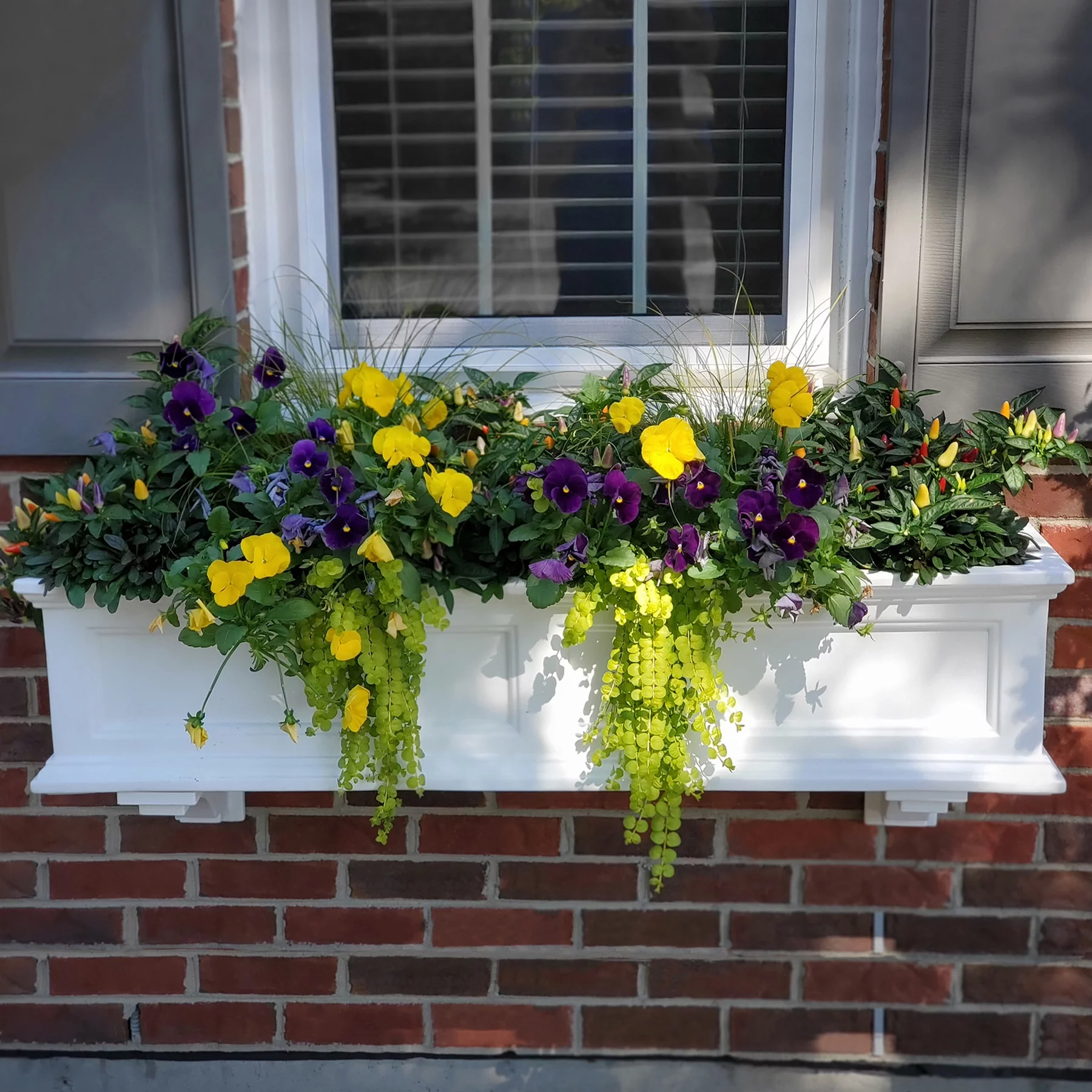 Mayne Fairfield 48" x 11" x 10.8" Rectangle White Self-Watering Polyethylene Window Box Planter