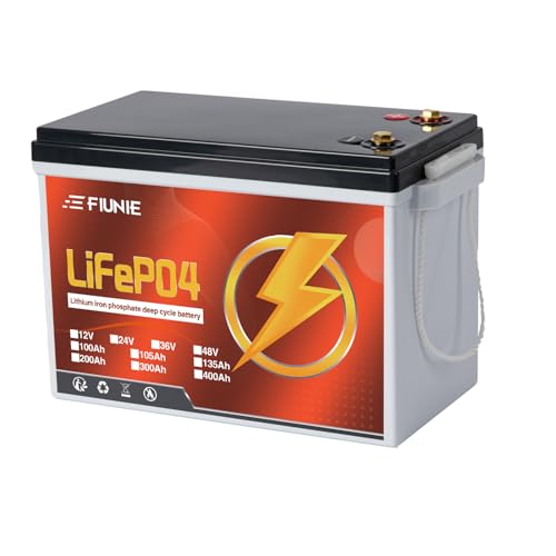 12V 100Ah lithium battery with Bluetooth for trolling motor, RV, Comping, Marine, Solar, Off-Grid, Lifepo4 Battery Deep Cycles Rechargeable Low Temp Protection, Smart BMS, 10-Year Lifespan