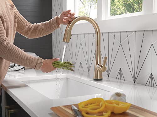 Delta Faucet Monrovia Kitchen Faucet