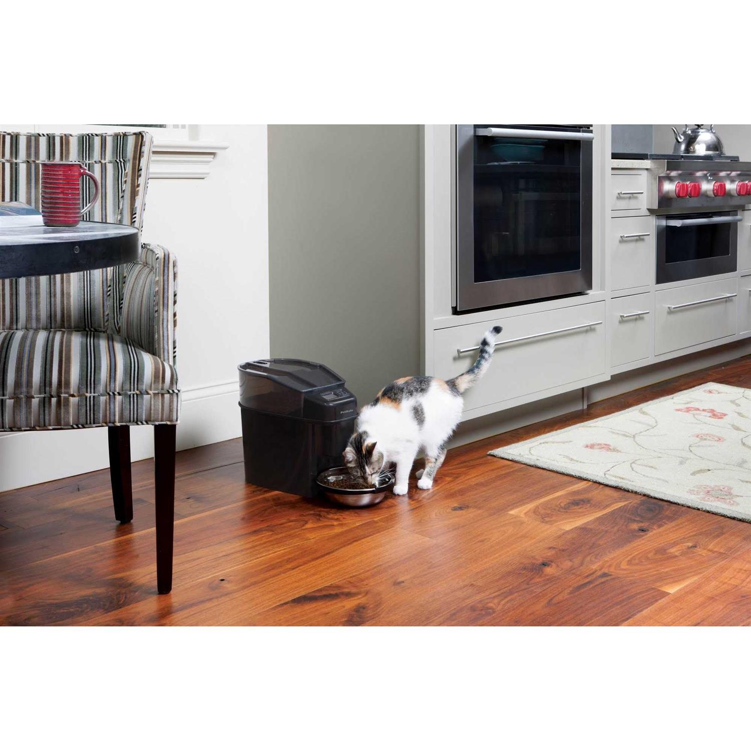 PetSafe Healthy Pet Simply Feed Automatic Feeder - Pet Supplies online store