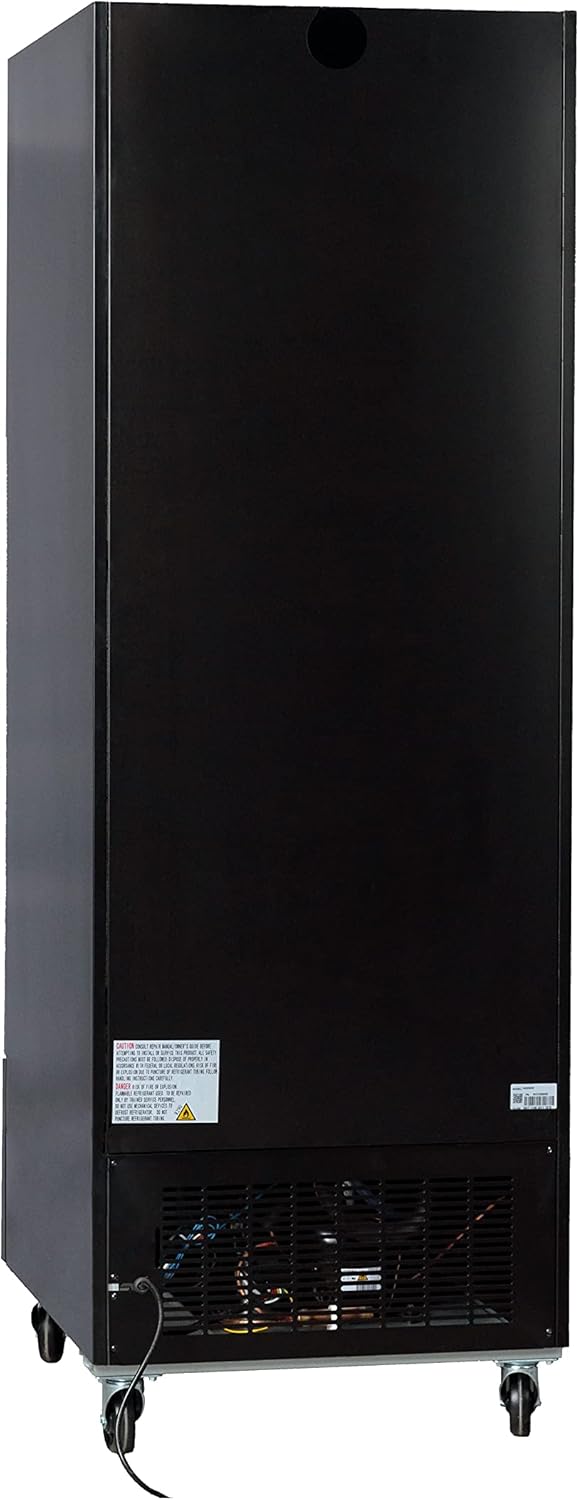 Retail Ice Cream Display Freezer & Frozen Treat Merchandiser; 23 Cubic Ft.
