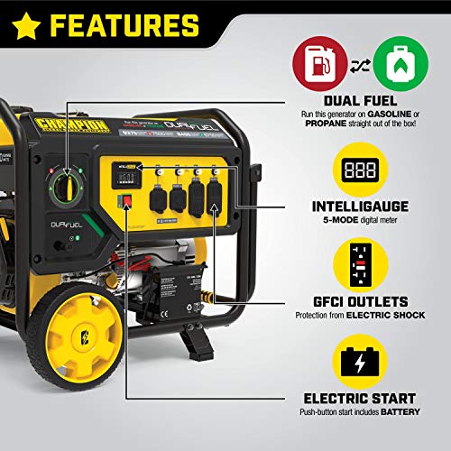 Champion Power Equipment 100813 9375/7500-Watt Portable Generator with Electric Start