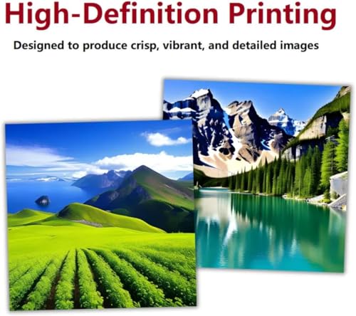 A4 DTF Printer for Clothes, T-Shirt Transfer Printing Machine, Direct to Film Printer. DTF Set of 4 Ink, C/M/Y/B, DTF Printing Paper, DTF Powder. Conversion DTF