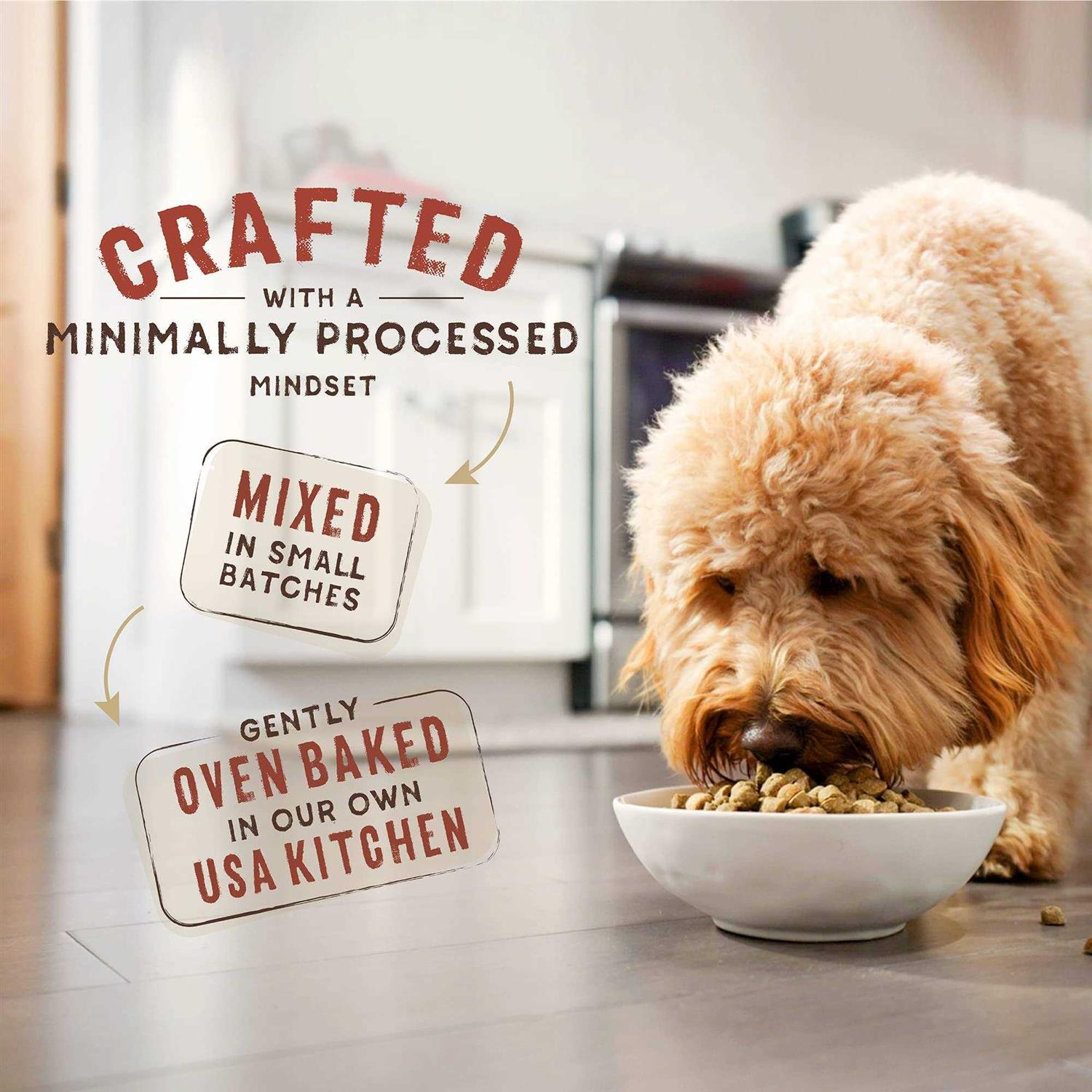 Stella &amp; Chewy's SuperBlends Raw Wholesome Grains Grass-Fed Beef - Pet Supplies online store