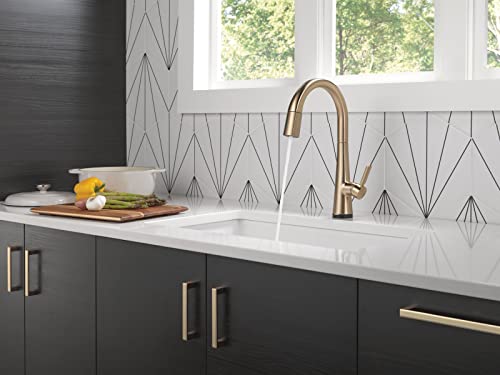 Delta Faucet Monrovia Kitchen Faucet
