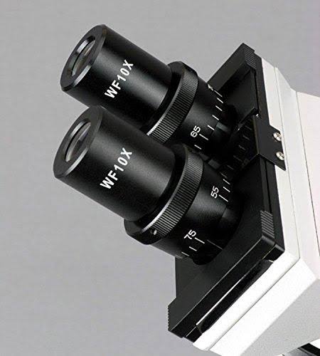 Amscope Binocular Biological Microscope 40X-2500X with Extensive Slide Preparation Kit and Book, White