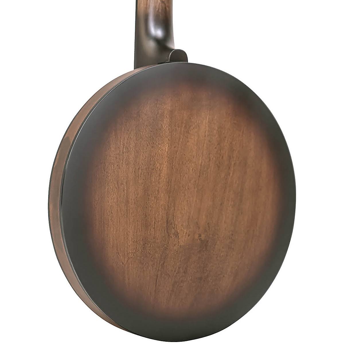 Gold Tone CC Banjitar Natural