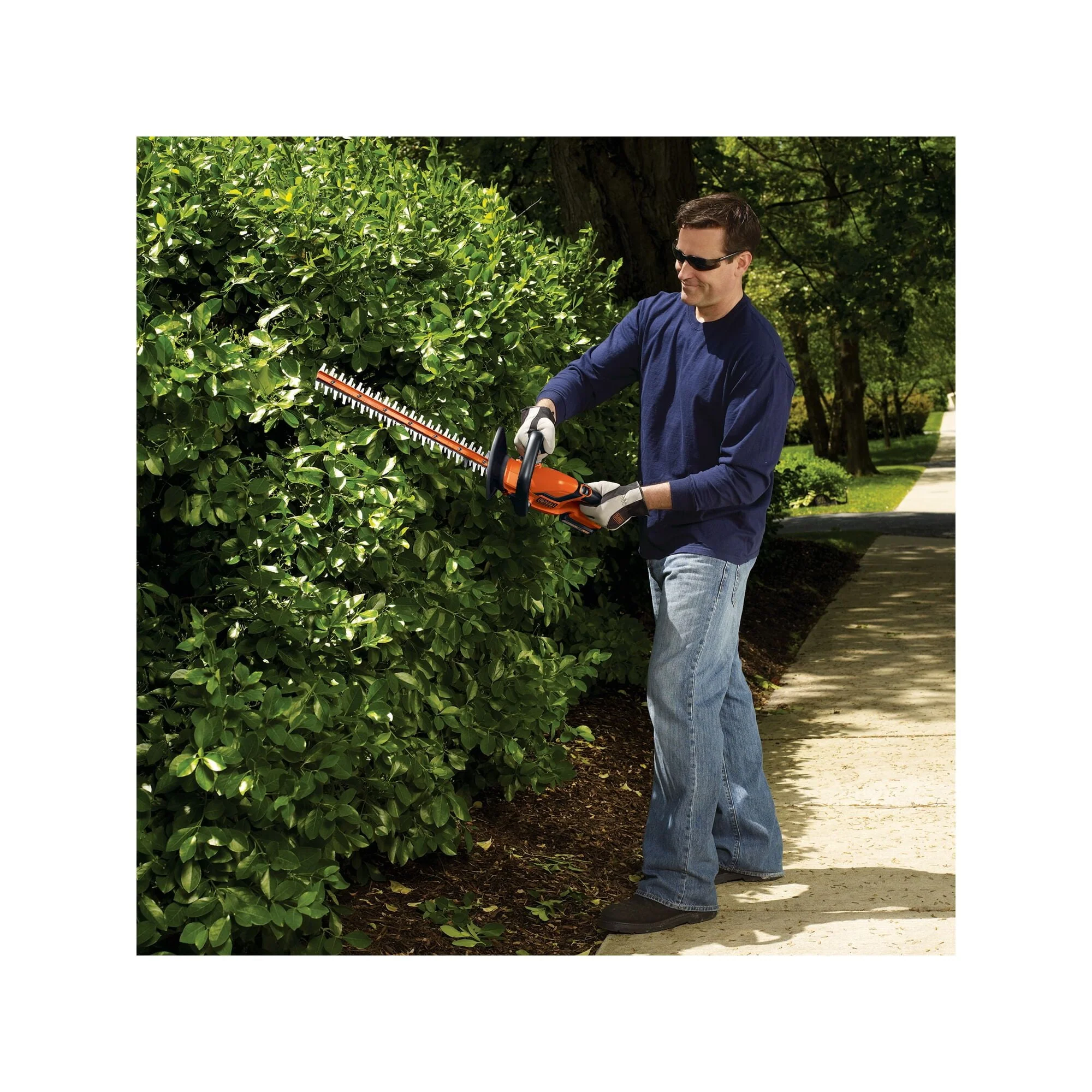 BLACK+DECKER LHT2220 20V MAX* Cordless Lithium 22 in. Hedge Trimmer