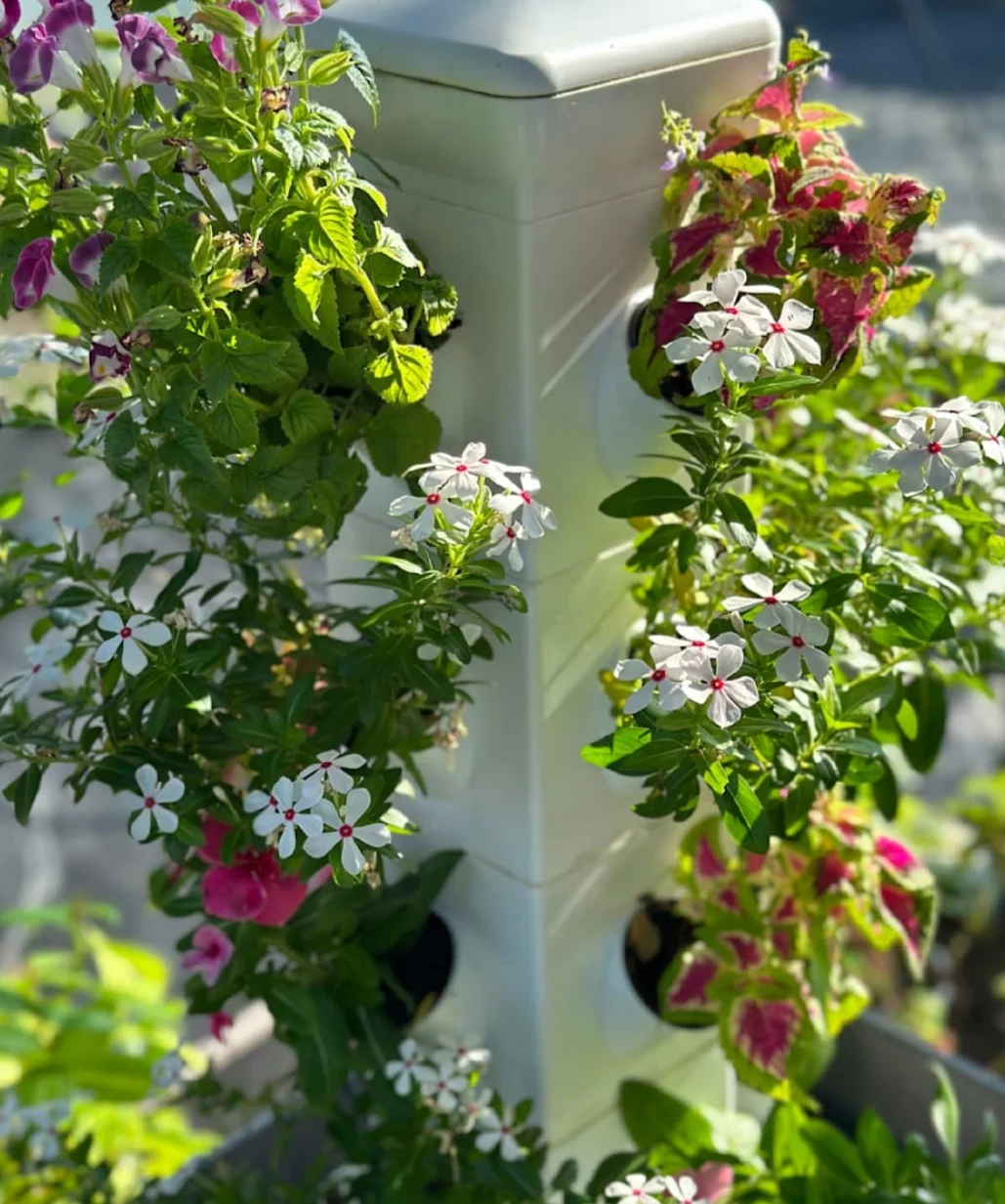 Hydroponic Indoor/Outdoor Verticle 20 Plant Tower Kit