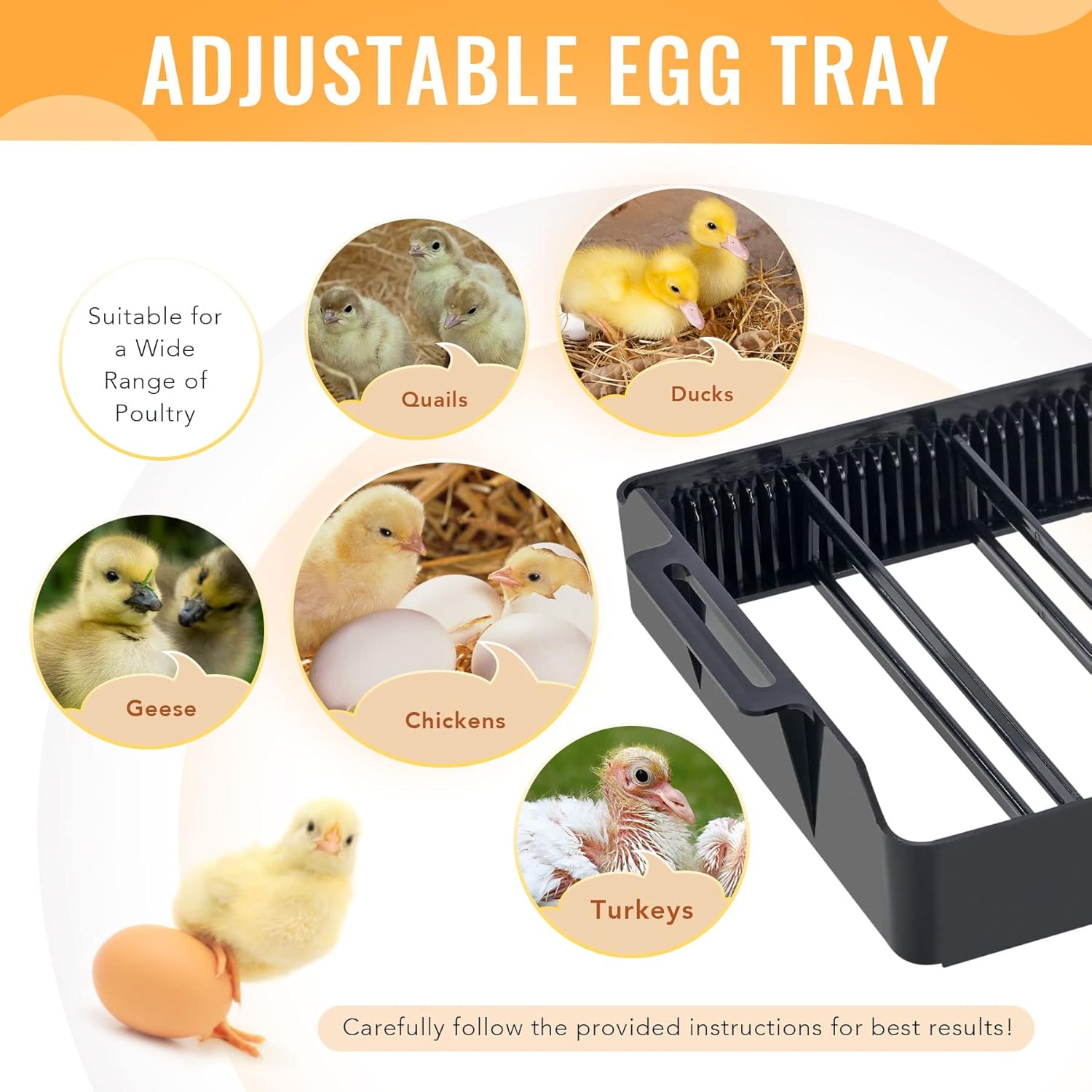 CREWORKS Digital Egg Incubator, 9-35 Eggs Hatching Incubator with Fully Automatic Egg Turning and Temperature Control, Auto Poultry Hatcher with LED Candler for Chicken, Duck, Quail, Goose, Birds Pack of 2