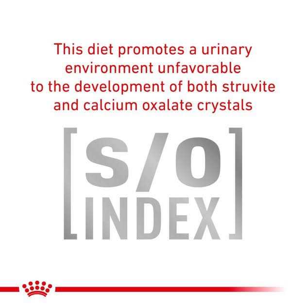 Royal Canin Veterinary Diet Cat Food - Pet Supplies online store