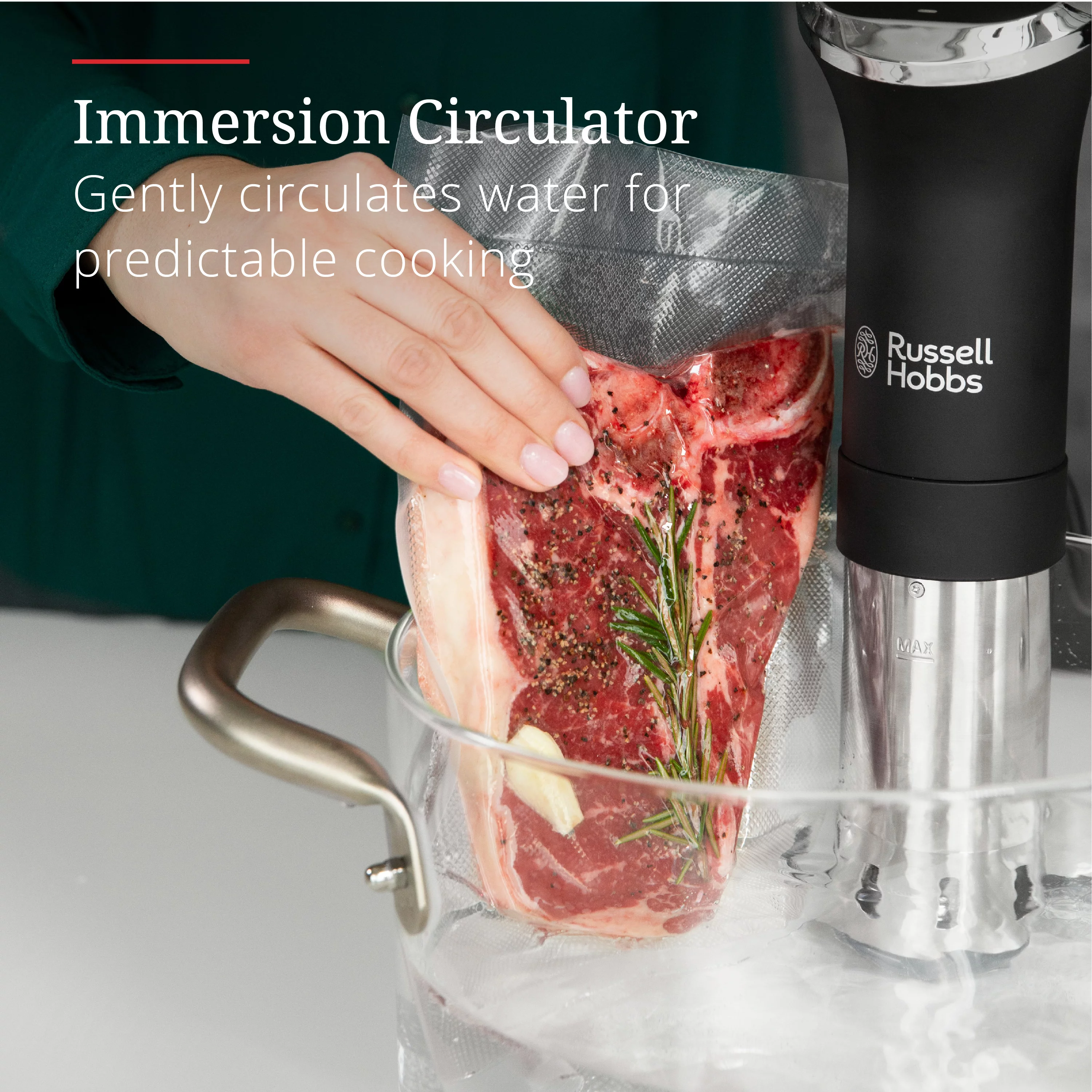 Russell Hobbs Sous Vide Precision Cooker with Immersion Circulator, Black, SV1000B