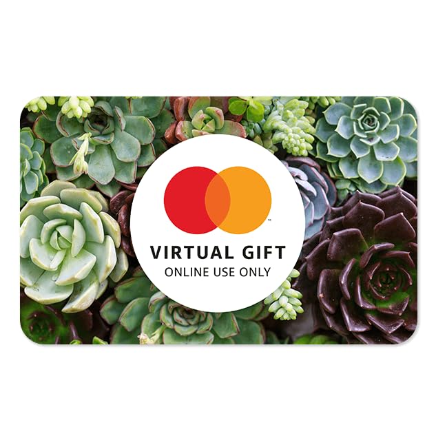 Mastercard Virtual $200 eGift Card (plus $6.95 purchase fee) – For Online Use Only