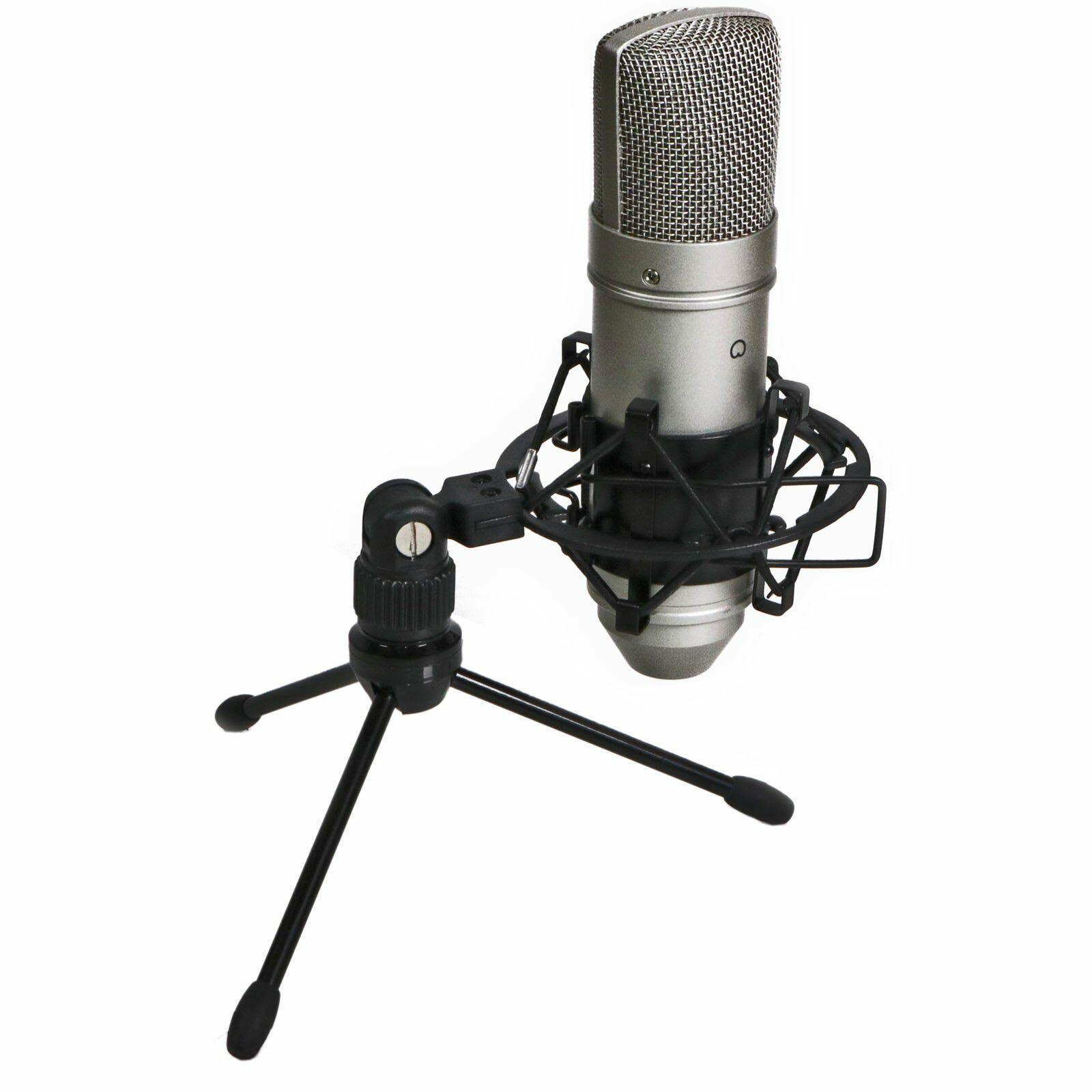 Tascam TM-80 Microphone