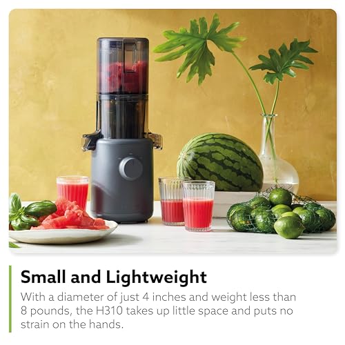 Hurom H310A Personal Self Feeding Slow Masticating Juicer
