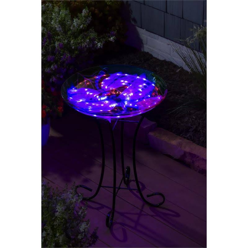 Dragonfly Duo Solar Hand Painted Embossed Glass Bird Bath with Stand