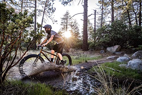 Mongoose Argus Trail or ST Fat Tire Mountain Bike, 20, 24 or 26 Inch Bike for Kids and Adults, 7 or 16 Speed, Aluminum or Steel Frame, Knobby Mountain Fat Tires, Mechanical Disc Brakes
