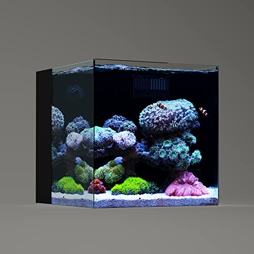LANDEN Ultra Clear Glass Rimless Low Iron Aquarium Tank with Rear Filtration Chamber for Salt and Fresh Water, Made of All Glass(Return Pump Included)
