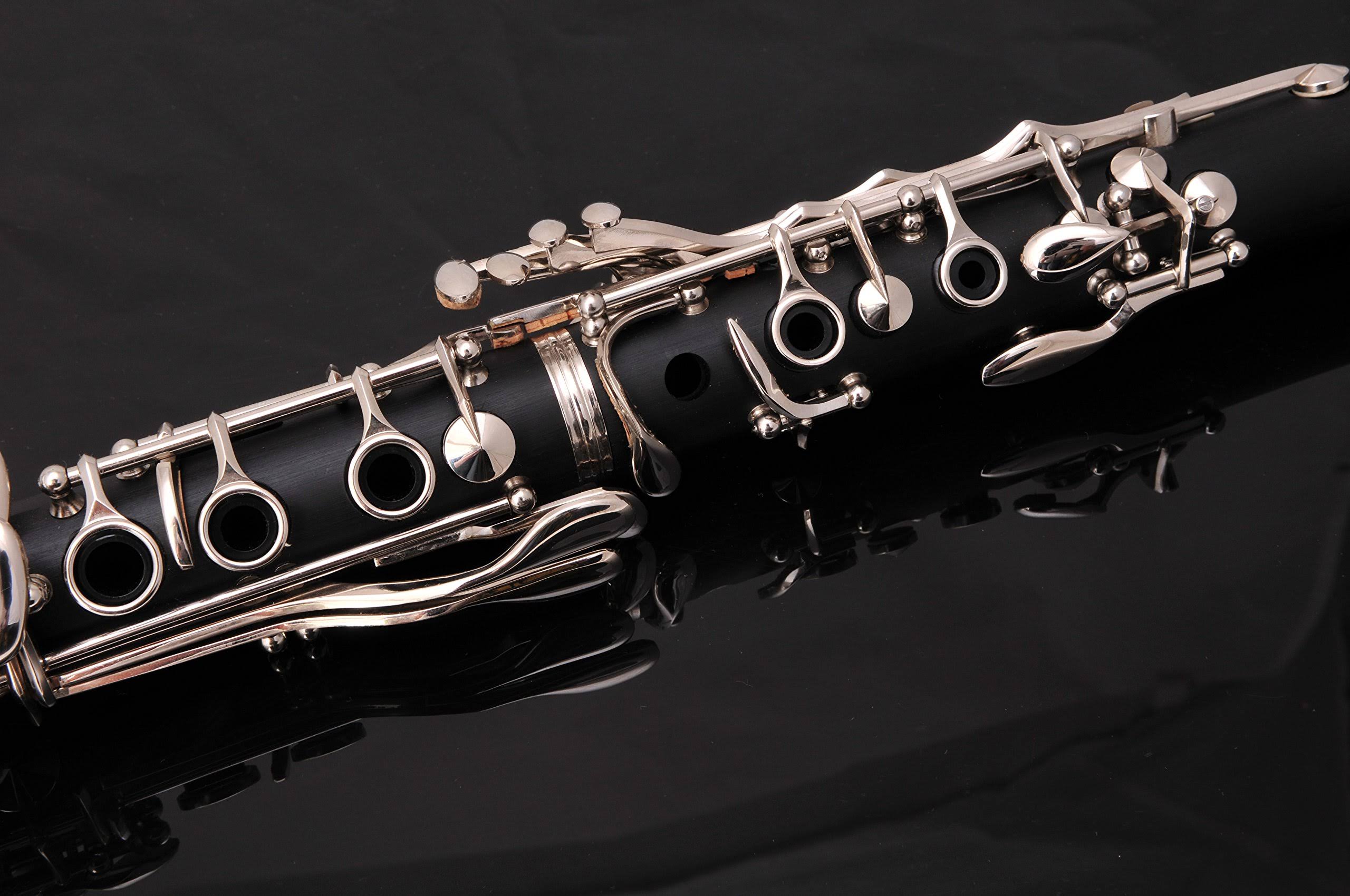 Glory B Flat Clarinet with Second Barrel, 11reeds,8 Pads cushions,case,carekit and More Black/Silver Keys