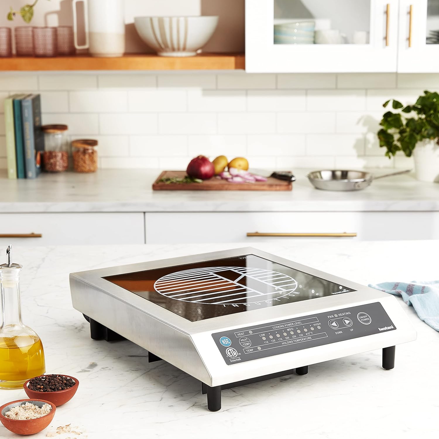 Iwatani IWA-1800 Tabletop Single-Burner Electric Stove Induction Burner Medium