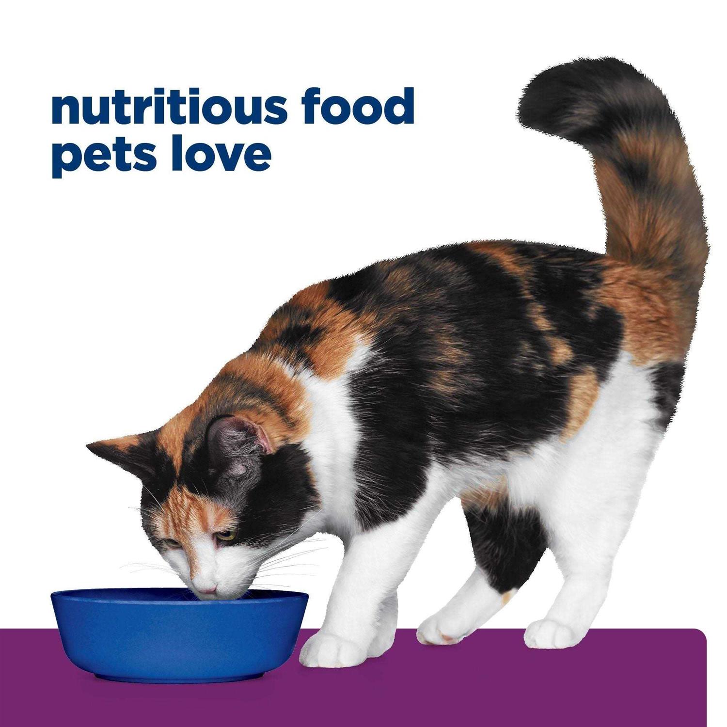 Prescription Diet y/d Thyroid Care Feline Canned Food - Pet Supplies online store