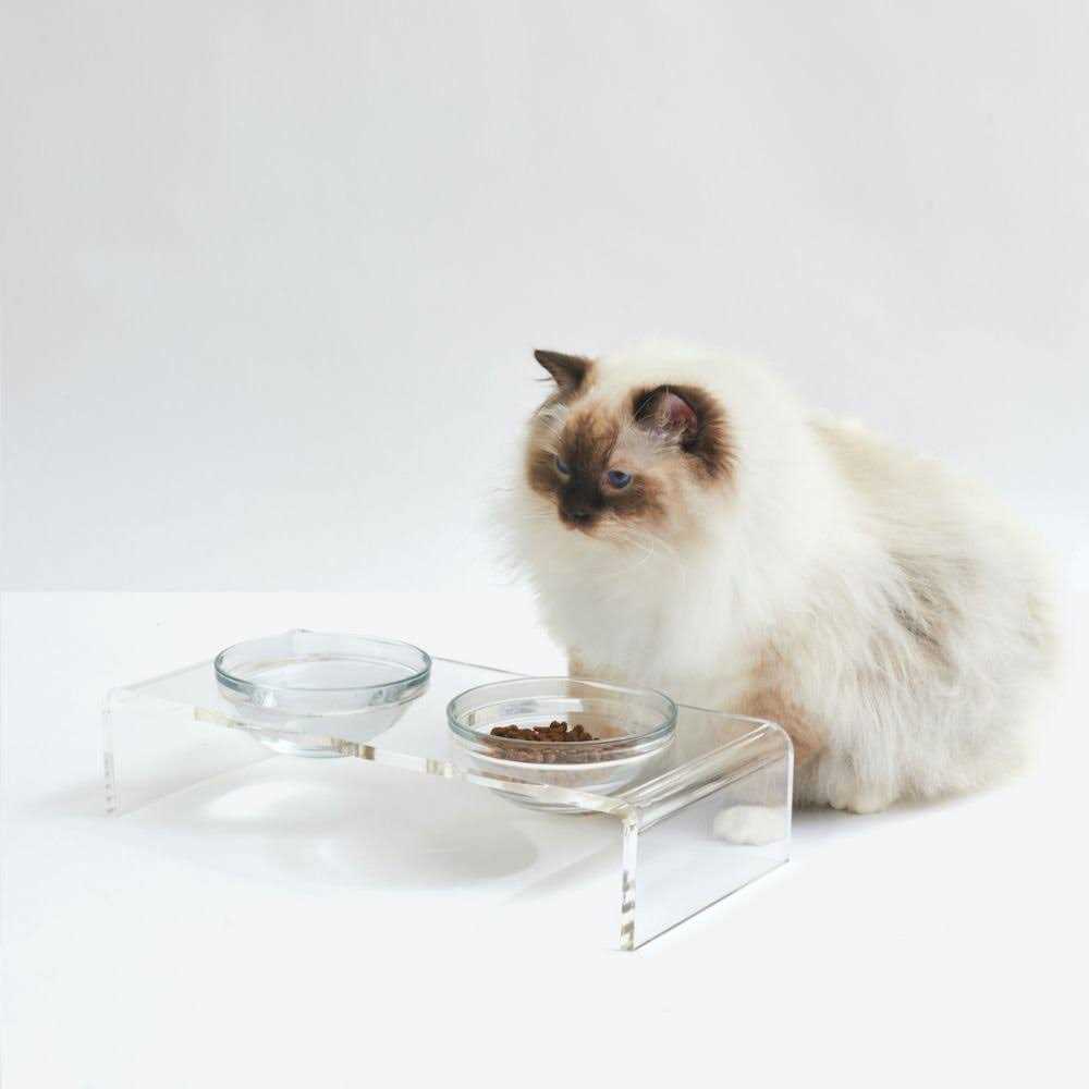 Glass Bowl Clear Elevated Feeder Hiddin - Pet Supplies online store