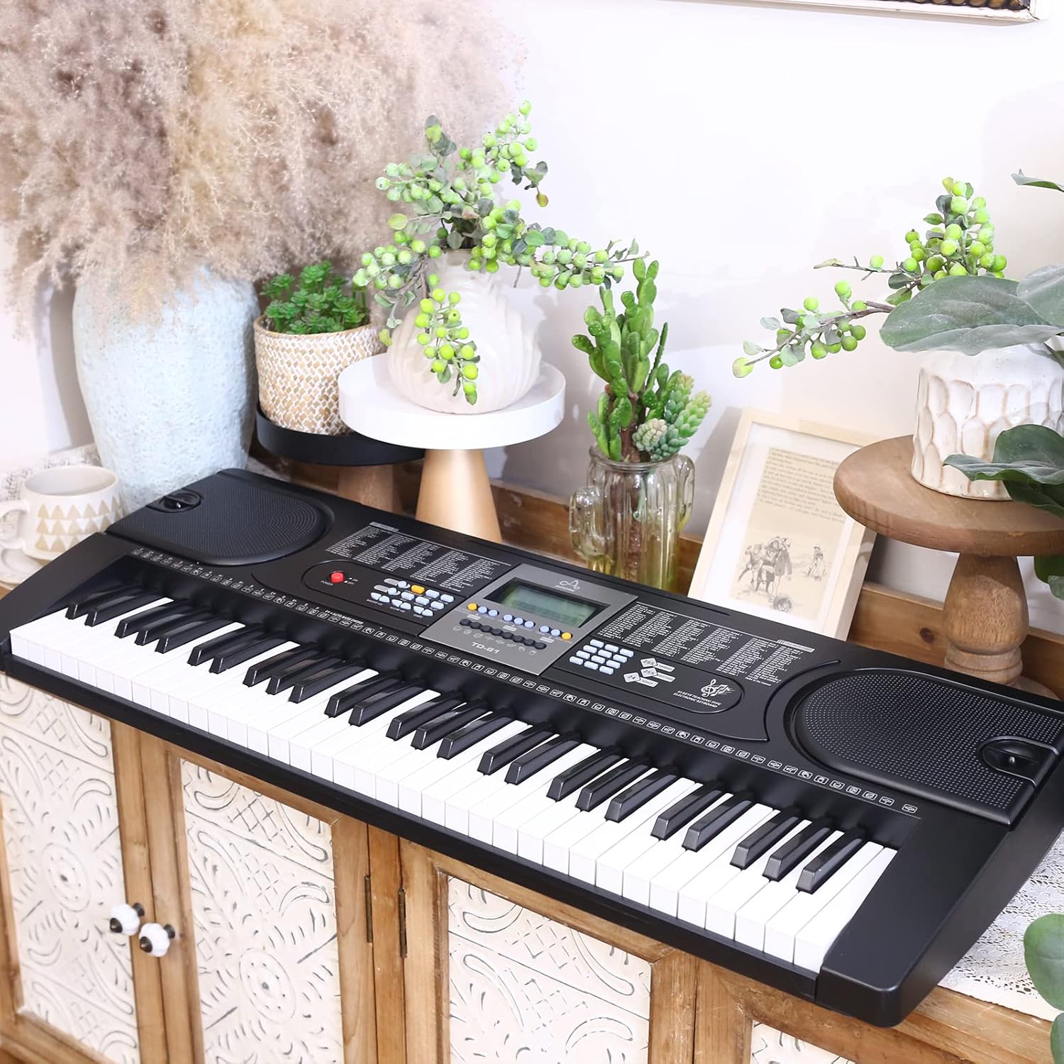 AODSK 61 Key Keyboard Piano With LCD Display Kit for Beginner Professional,with 255 Sounds,Microphone,3.5mm Audio Cable and 24 Demo Songs