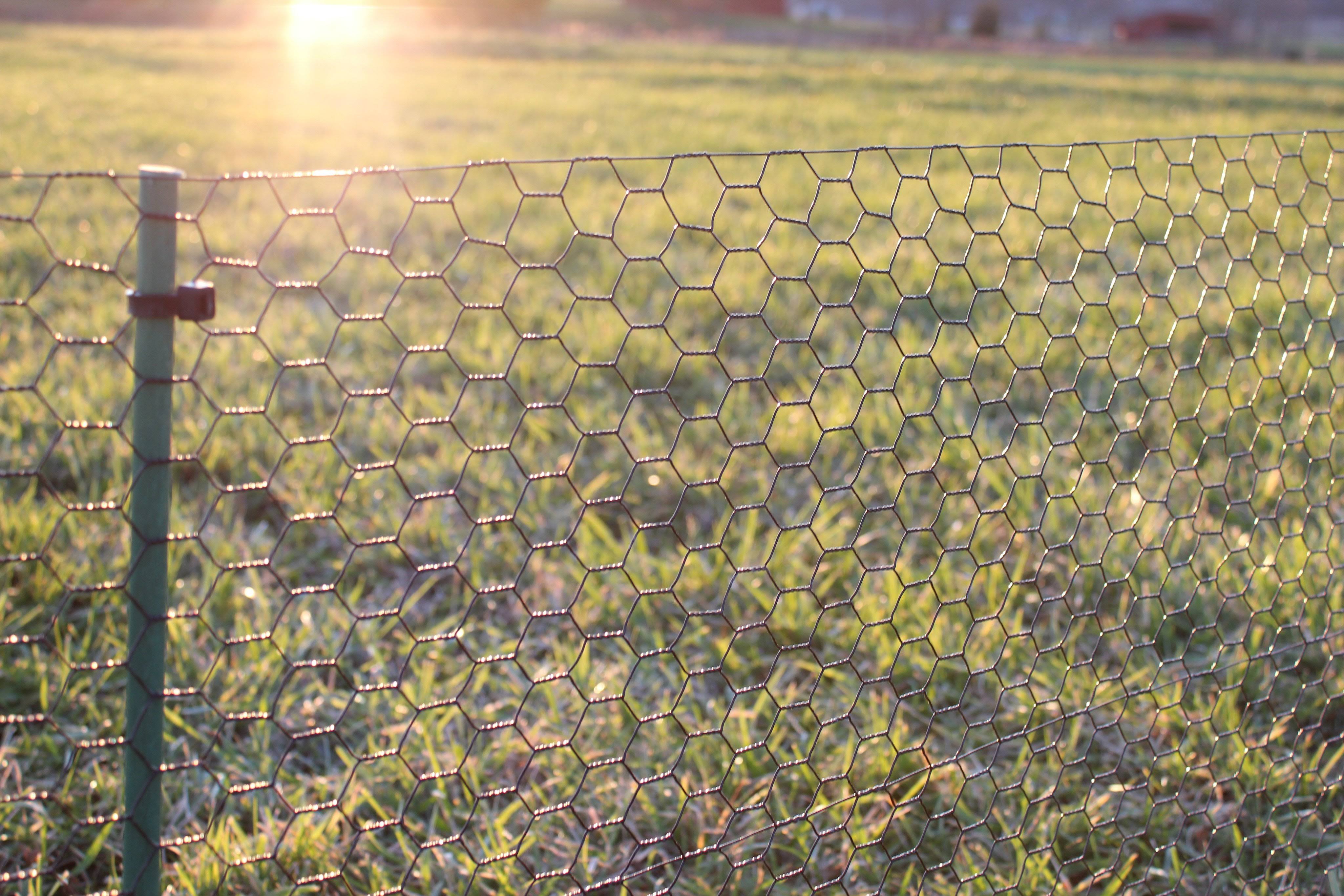 Easypetfence 2& x 150& Steel Hex Web Black PVC Coated Dog Fence