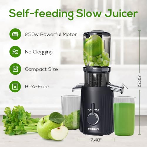 Cold Press Juicer,celiberry Slow Masticating Juicer Machines with 4.1"Large Feed Chute Fit Whole Vegetable and Fruit,Easy Clean Self Feeding Juice Extractor,Quiet Motor Juicer Machine
