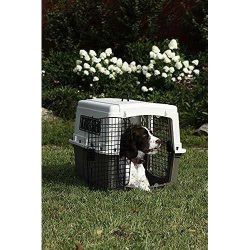 Pet Lodge Double Door Plastic Crate - Pet Supplies online store