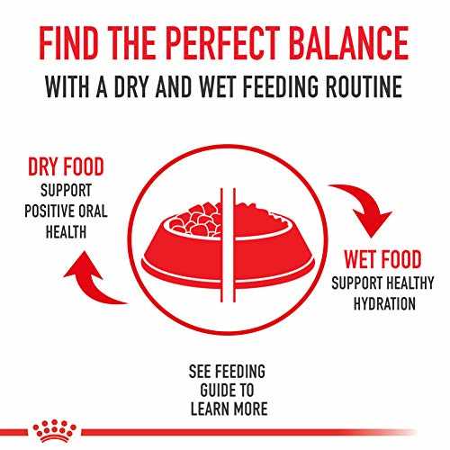 Royal Canin Feline Breed Nutrition Maine Coon Adult Thin Slices in Gravy Wet Cat Food, 3-oz can, case of 24 - Pet Supplies online store
