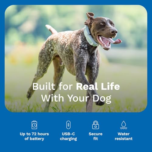 Invisible Fence GPS Dog Fence & Tracking Collar Bundle with Training Flags (White) & Treat Bag (Blue), Wireless GPS Tracker Collar, for Medium & Large Dogs, Waterproof - 1 Year Subscription Included