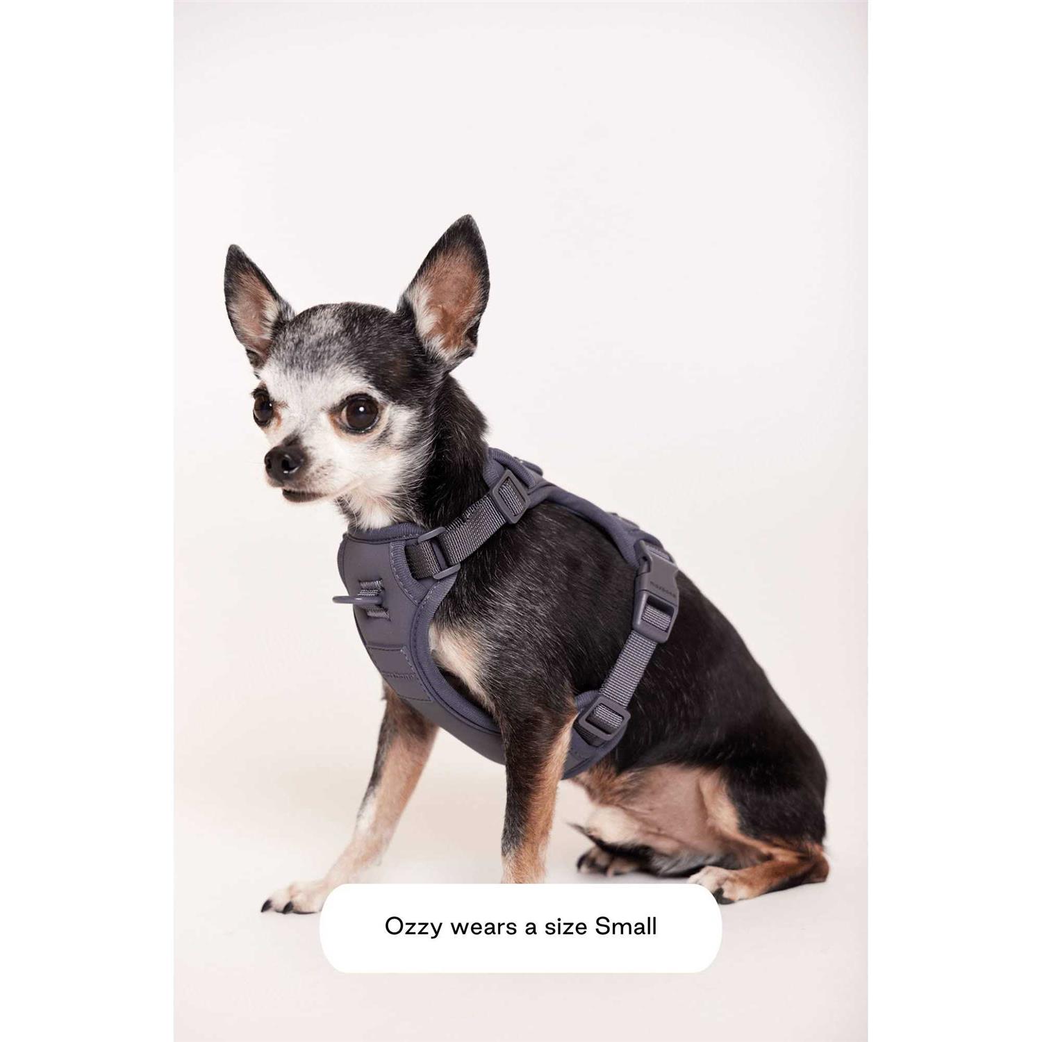 maxbone Double Panel Harness - Pet Supplies online store