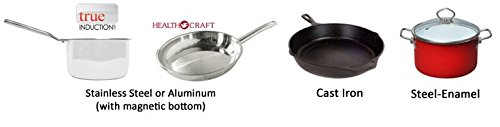 True Induction TI-2B Counter Inset Double Burner Induction Cooktop, 120V, Black