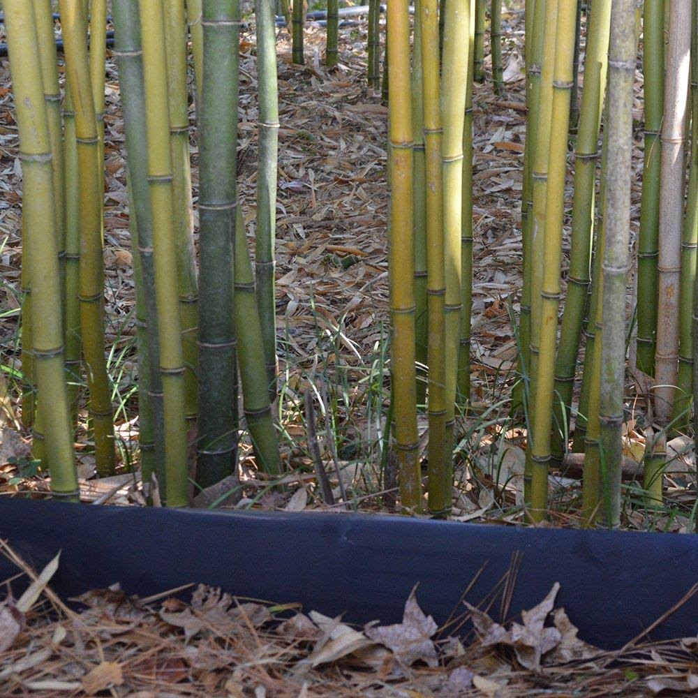 Bamboo Shield - 75 Feet Long x 24 inch x 60 Mil - Bamboo Root Barrier/Water Barrier