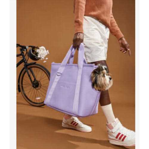 Wild One Cotton Everyday Dog Carrier - Pet Supplies online store