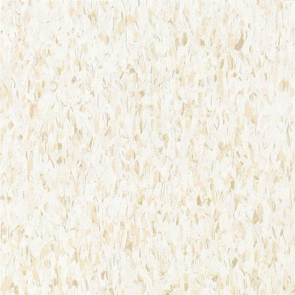 Armstrong Imperial Texture VCT 12 in. x 12 Excelon Tile - Shop Hardware Tools Online Store
