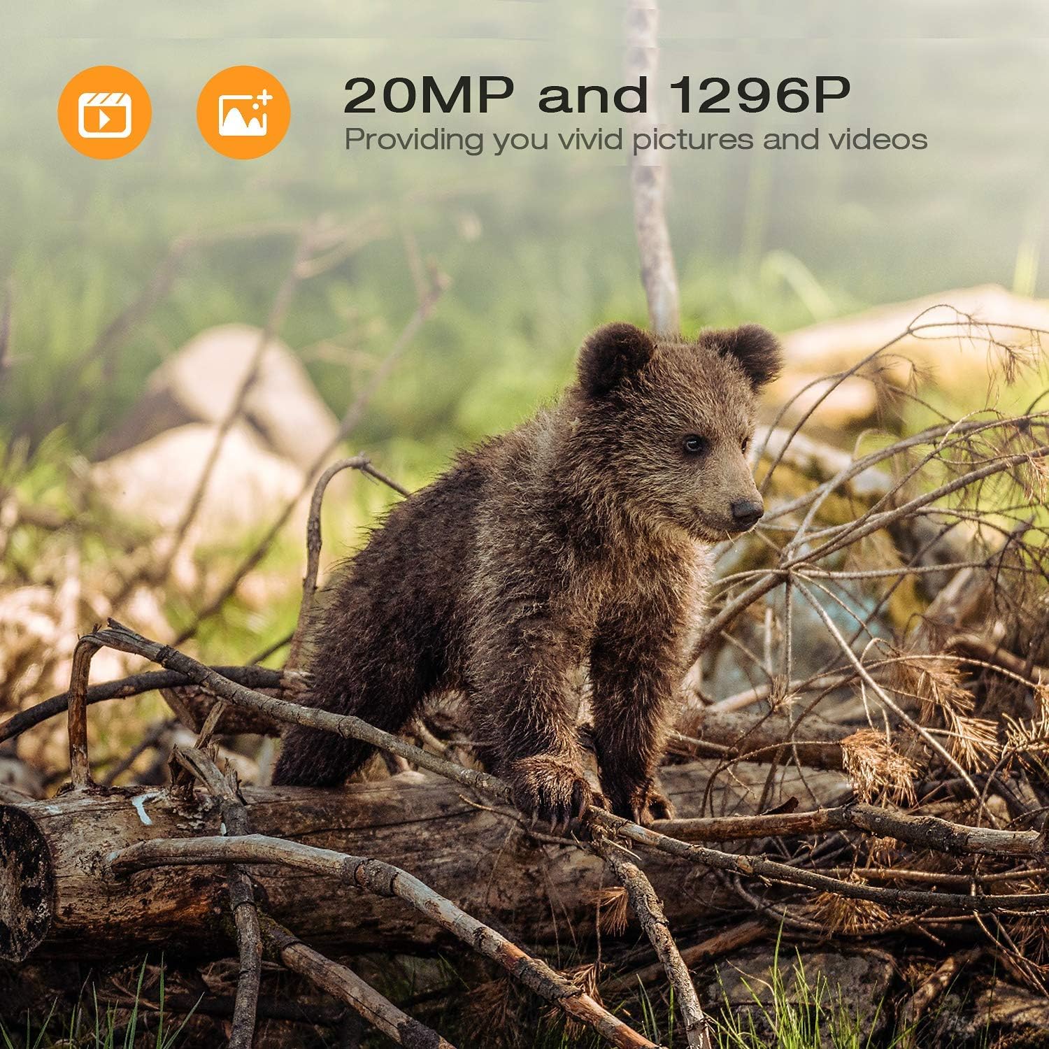 WiFi Trail Camera 20MP 1296P - Bluetooth Hunting Game Camera with Night Vision Motion Activated Waterproof IP66 for Outdoor Wildlife Scouting Animal Game Camera